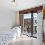 Appartment In Noordzee